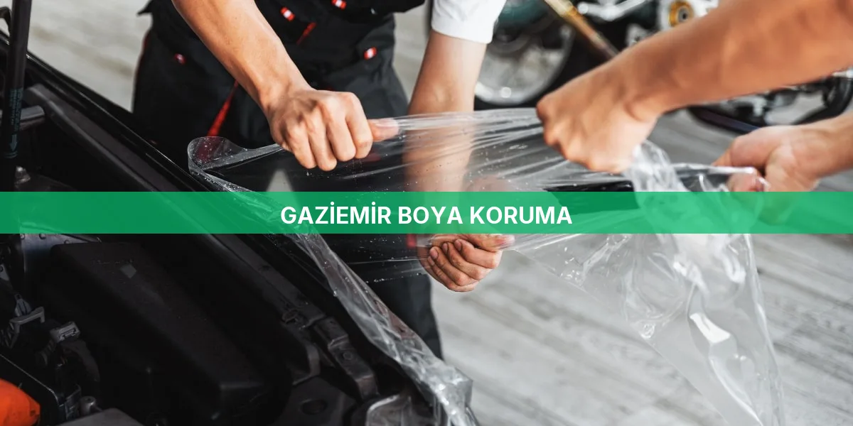 Gaziemir Boya Koruma